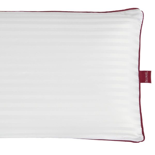 Almohada VISCO SEDA de Belnou